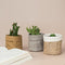 Desktop Plant Kraft Paper Flower Pot