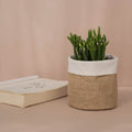 Desktop Plant Kraft Paper Flower Pot