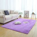 Silky Fluffy Carpet Modern Home Decor