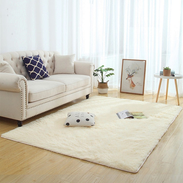 Silky Fluffy Carpet Modern Home Decor