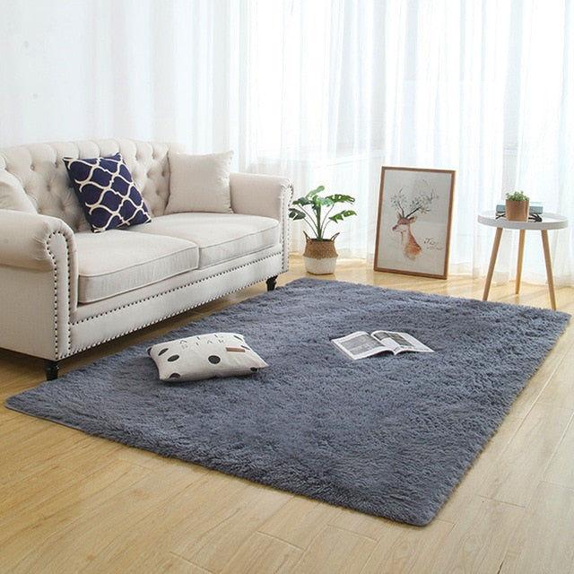 Silky Fluffy Carpet Modern Home Decor