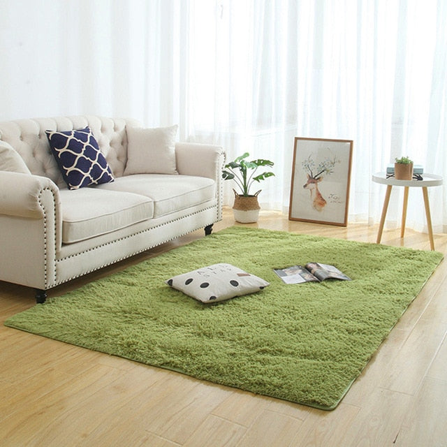 Silky Fluffy Carpet Modern Home Decor